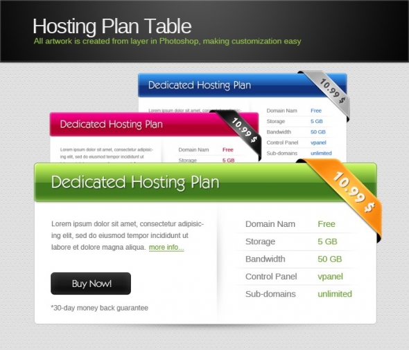 Template Image for Hosting Plan Table - 30384
