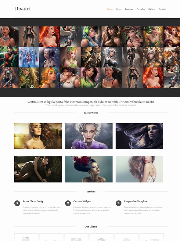 Template Image for Divatri - Responsive HTML Template