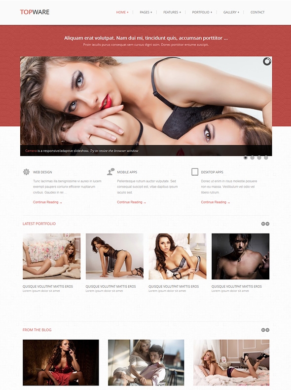 Template Image for Topware - Responsive Web Template
