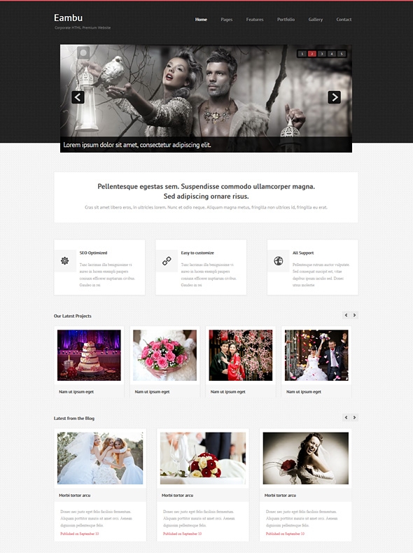 Template Image for Eambu - Responsive Website Template