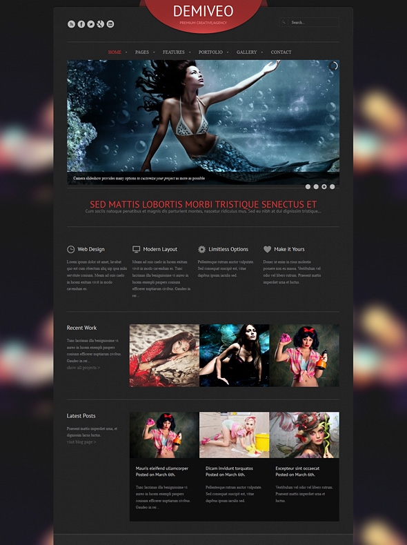Template Image for Demiveo - Responsive Website Template