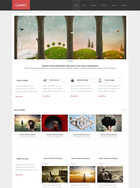 Template Image for Camitri - Responsive Web Template