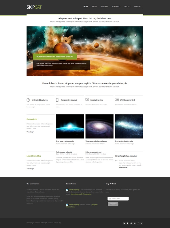 Template Image for Skipcat - Responsive Website Template