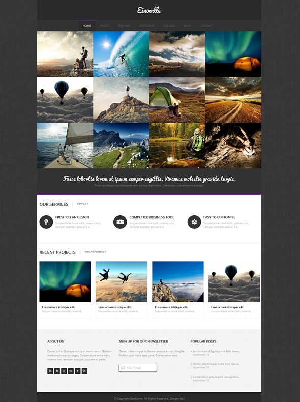 Template Image for Einoodle - Responsive Website Template