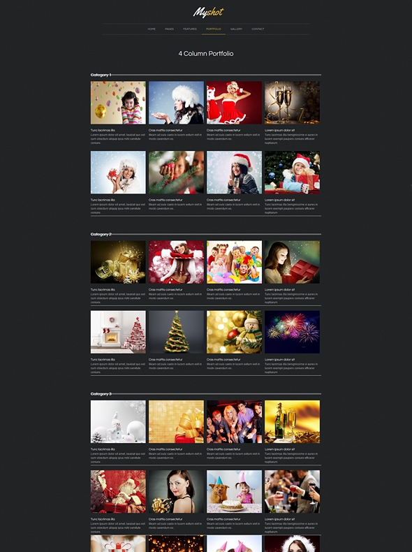 Template Image for Myshot - Responsive Website Template