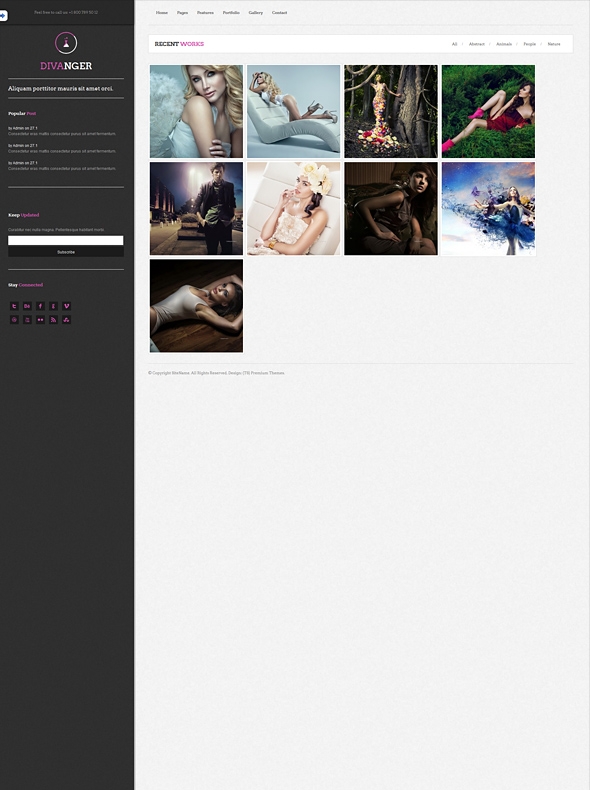 Template Image for Divanger - Responsive Web Template