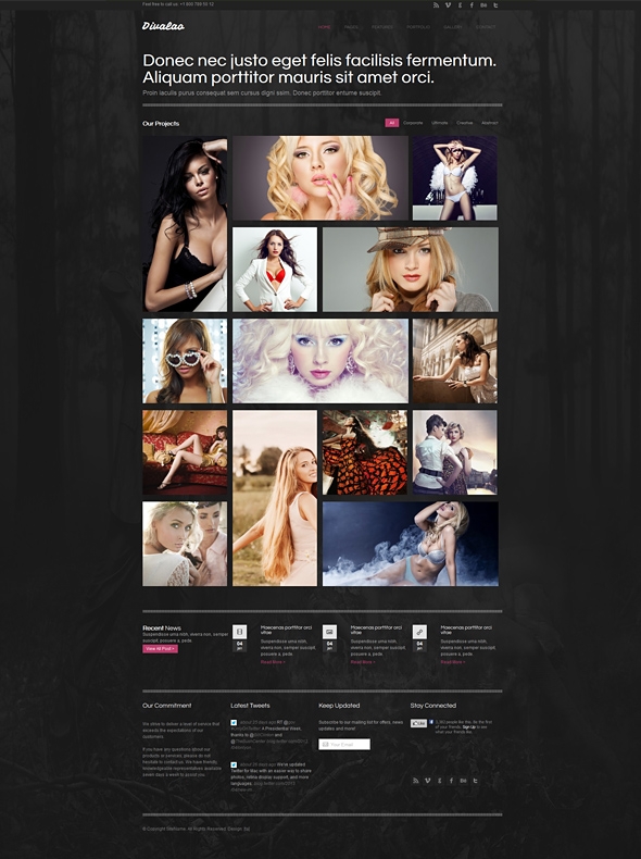 Template Image for Divalao - Responsive Website Template