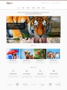Image for Image for Skipfly - Responsive Website Template
